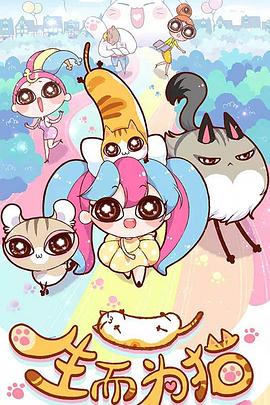 西湖区seo优化哪家好